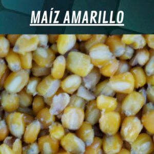 Quality seeds Maiz Amarillo Bolsa 5kg