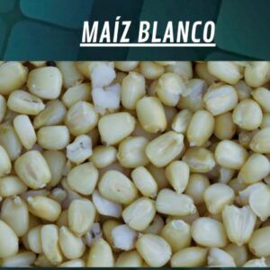 Quality Seeds Maiz Blanco Bolsa 5kg