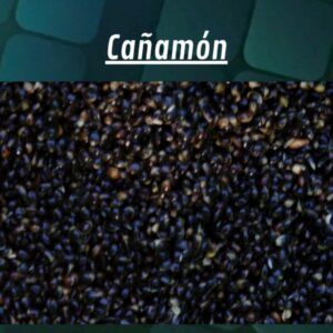 Quality Seeds Cañamon 1kg