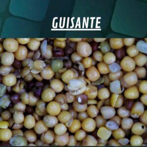 Quality Seeds Guisante 1kg