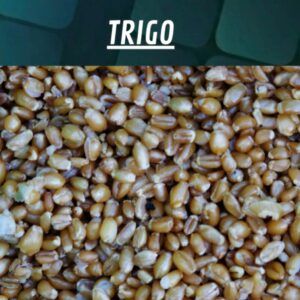 Quality Seeds Trigo 1kg