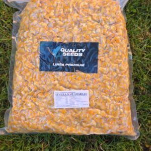 Quality seeds Maiz Amarillo Bolsa 5kg