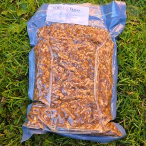 Quality Seeds Trigo 1kg