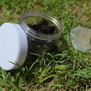 El Rincon del Carpfishing Cebos Pellet Halibut Taladrados Negro 14mm
