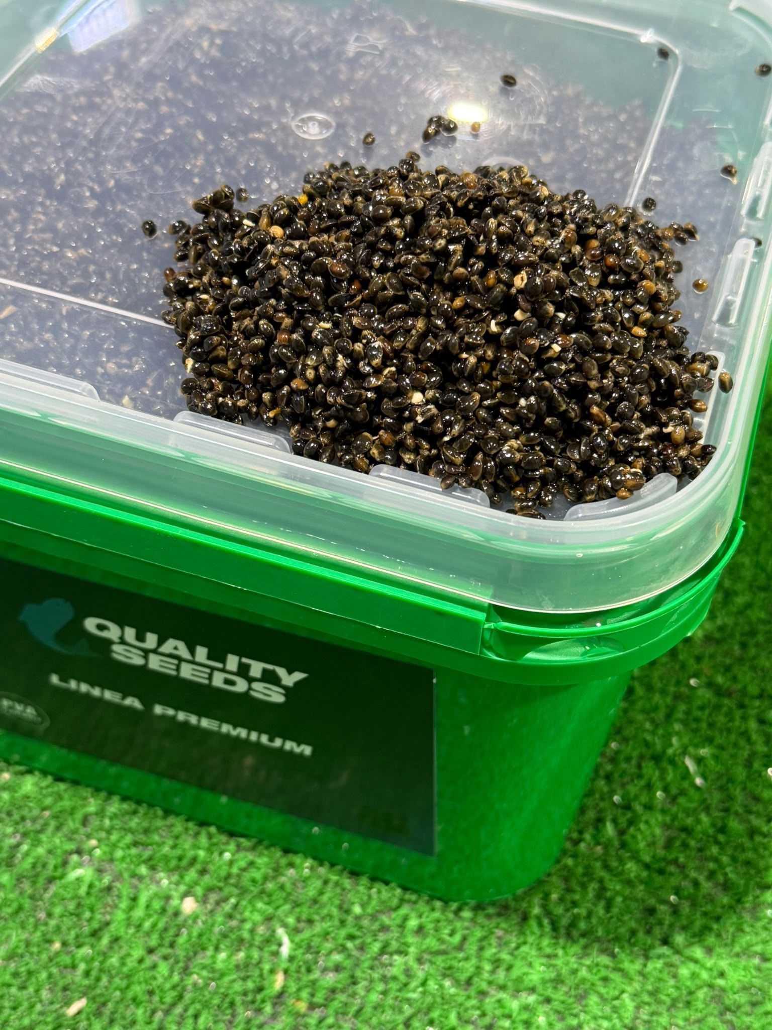 Quality Seeds Cañamon 6 kg