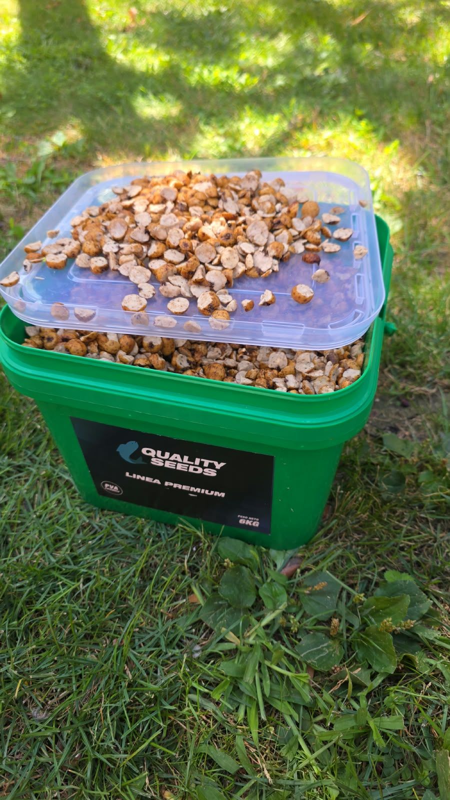 Quality Seeds Chufa Laminada 6kg - Imagen 4