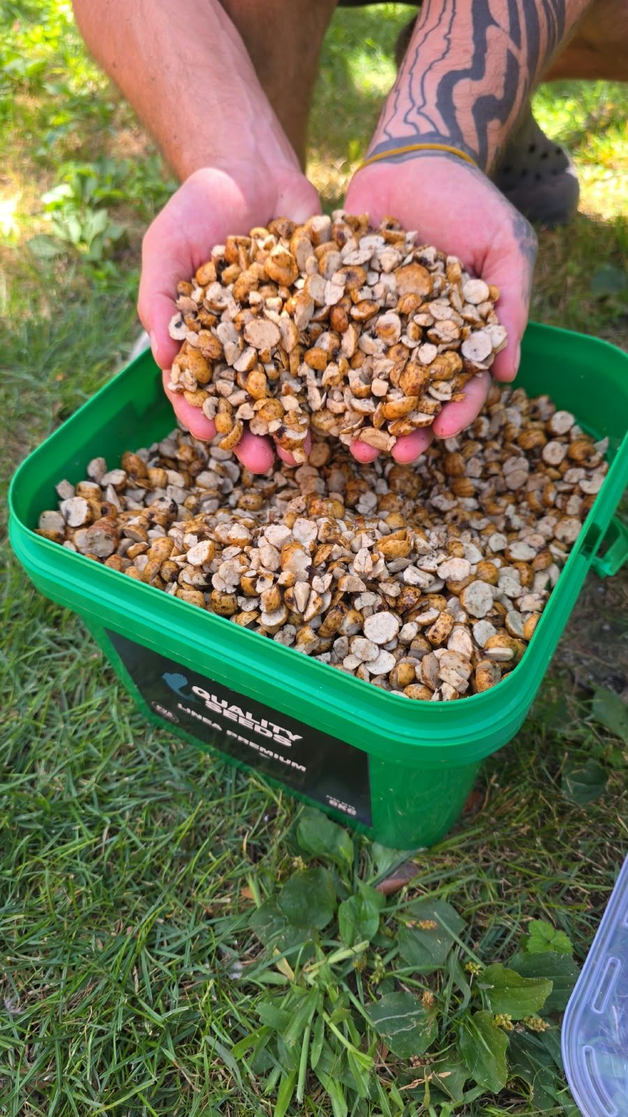 Quality Seeds Chufa Laminada 6kg - Imagen 5