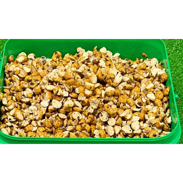 Quality Seeds Chufa Laminada 6kg - Imagen 3