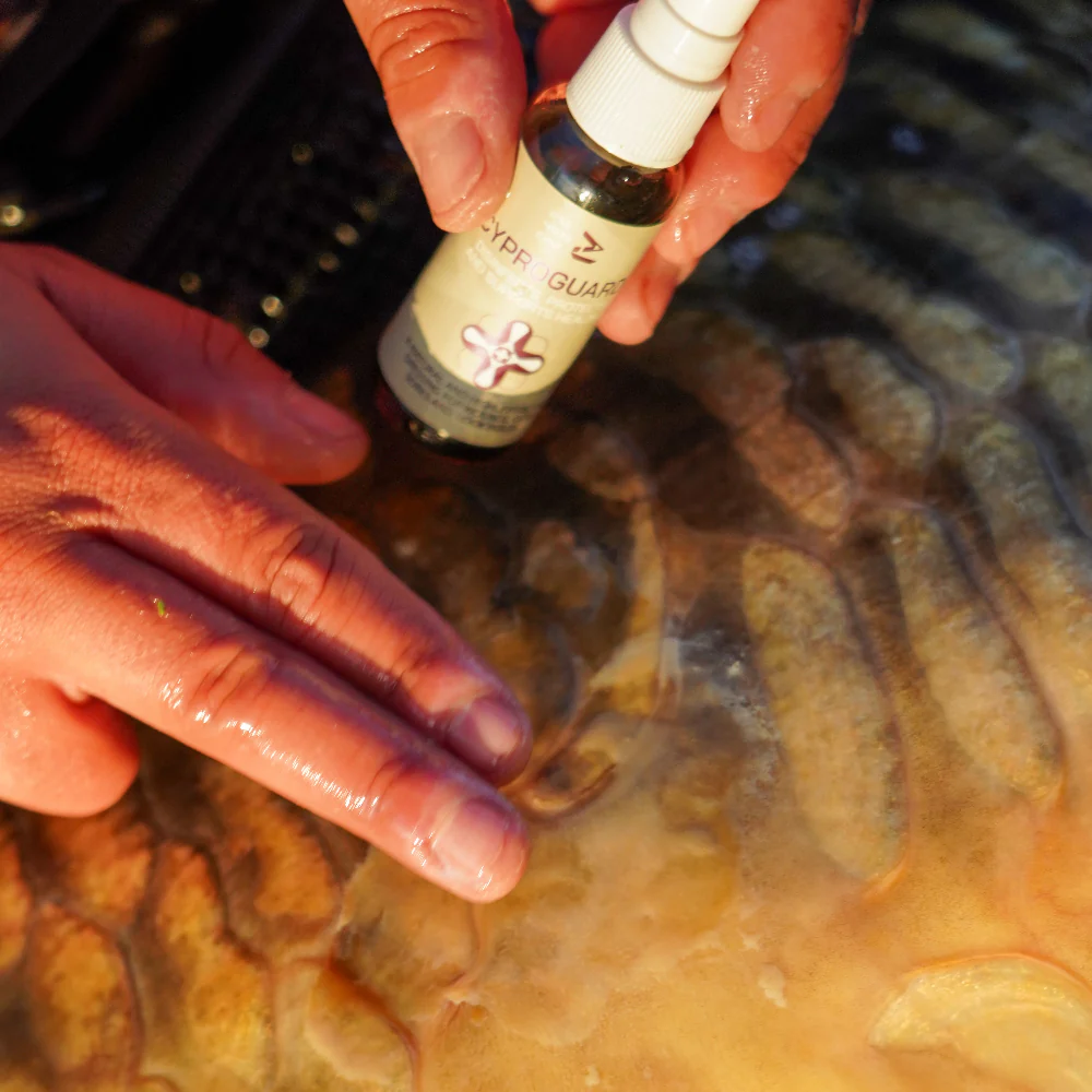 One More Cast Cyproguard - Imagen 8