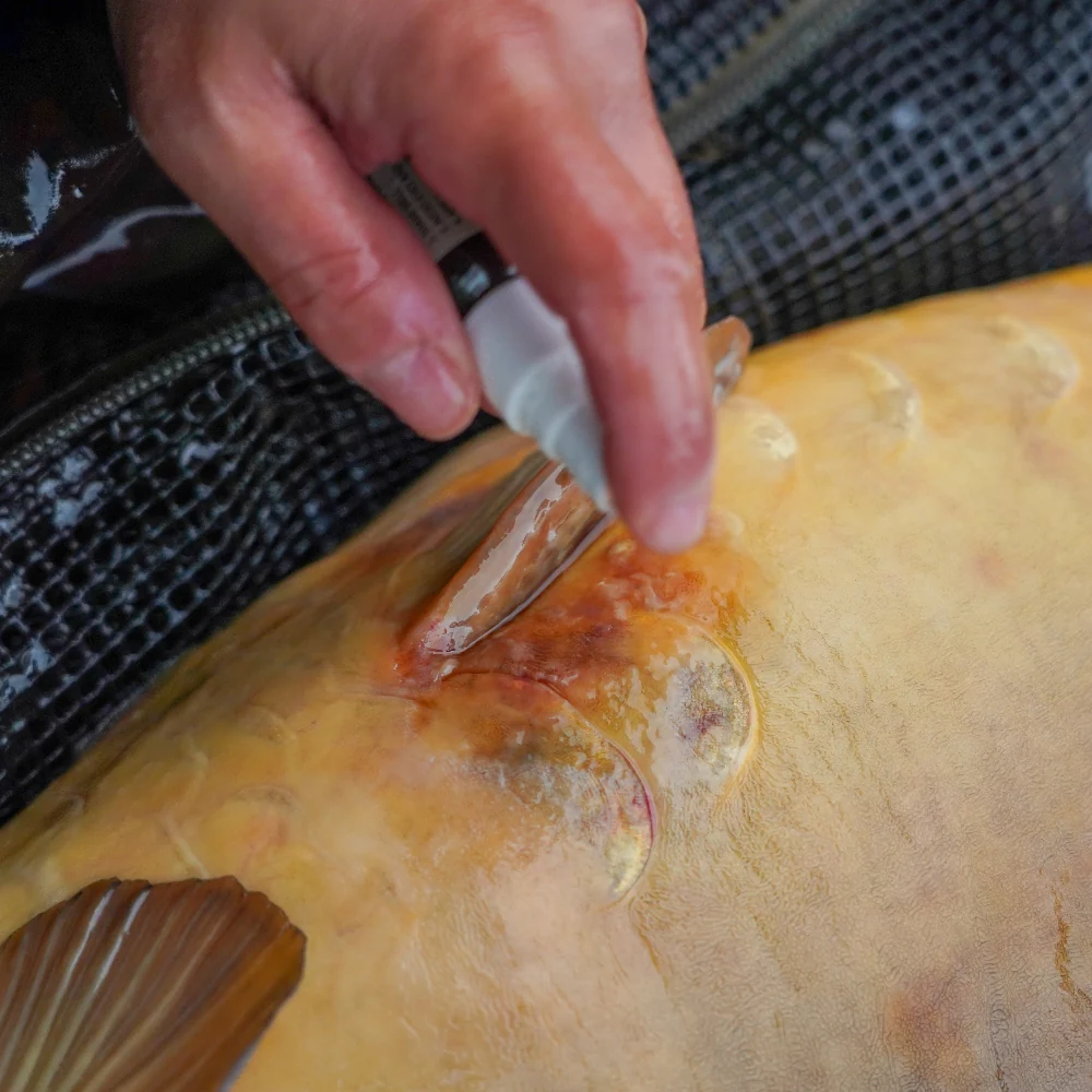One More Cast Cyproguard - Imagen 5