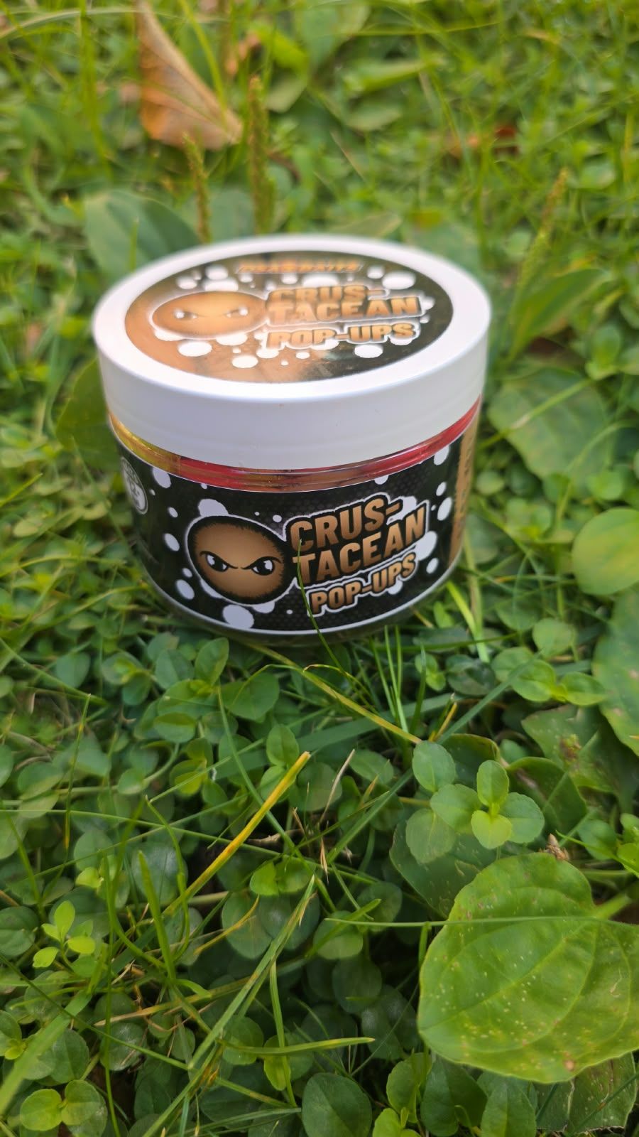 Dsa Baits Crustacean Pop-Ups 12ml - Imagen 2